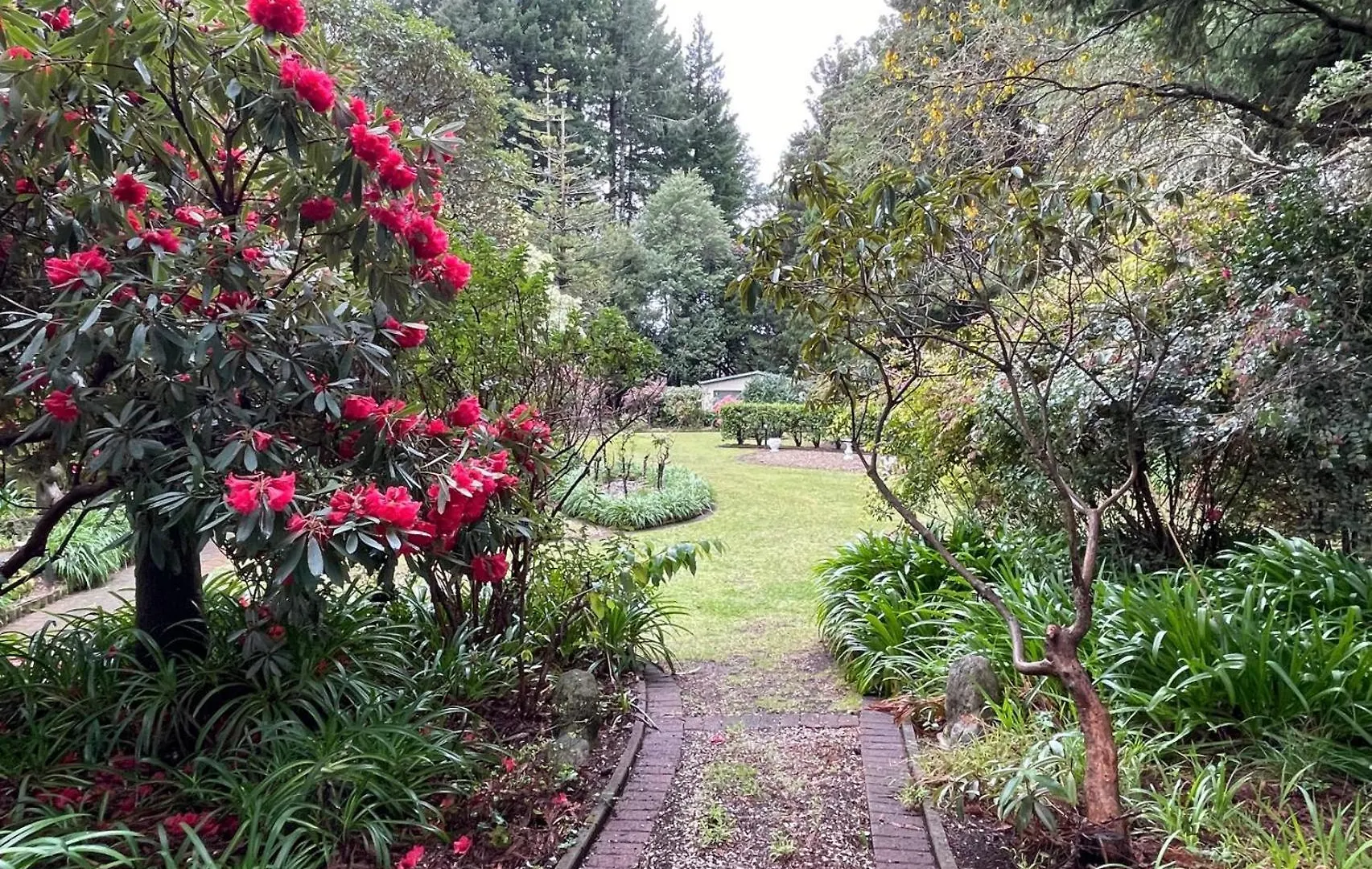 Garden Paradise In Rotorua With Pool